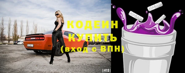 молекула духа Бронницы