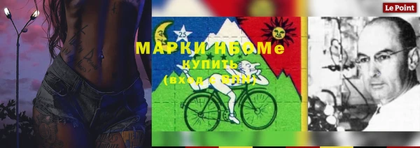 шишки Богородск