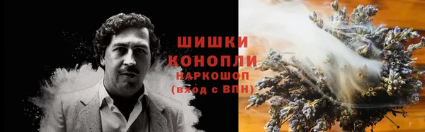 дурь Богородицк