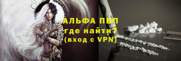 ешки Бородино