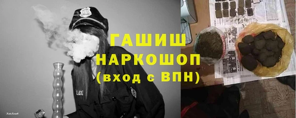 ешки Бородино