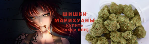 молекула духа Бронницы