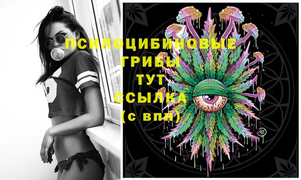 винт Богданович