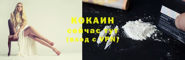 молекула духа Бронницы