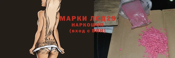 винт Богданович