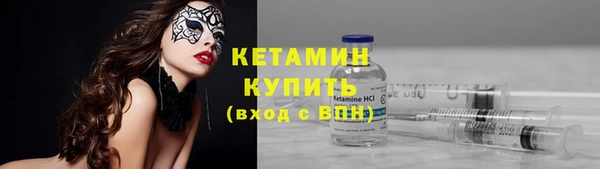 шишки Богородск