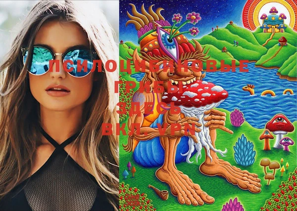 молекула духа Бронницы