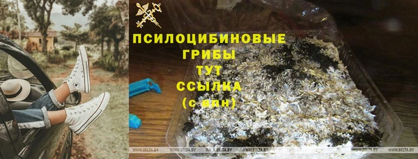 ешки Бородино