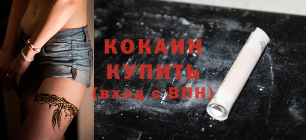 дурь Богородицк