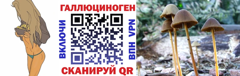это клад  Кедровый  Псилоцибиновые грибы Magic Shrooms 